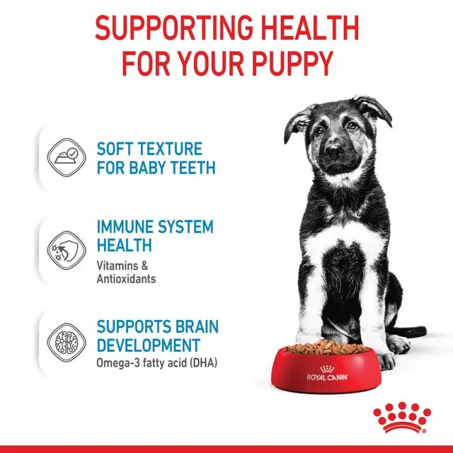 Royal Canin Maxi Gravy Wet Puppy Food 140g (10 PK) - Pet Supply
